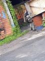 IMG-20190331-WA0233.jpg