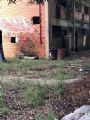IMG-20190401-WA0069.jpg